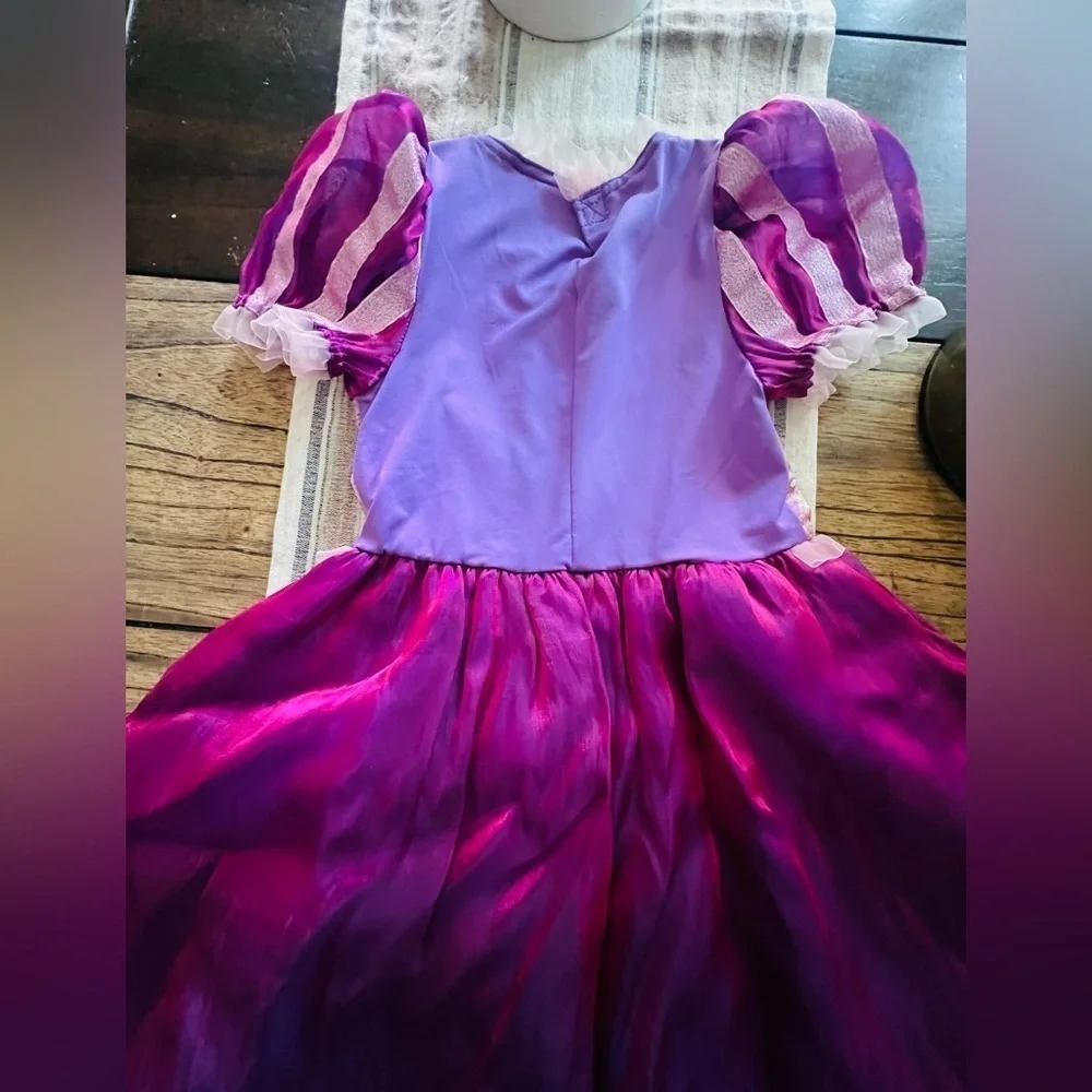 Disney parks princess